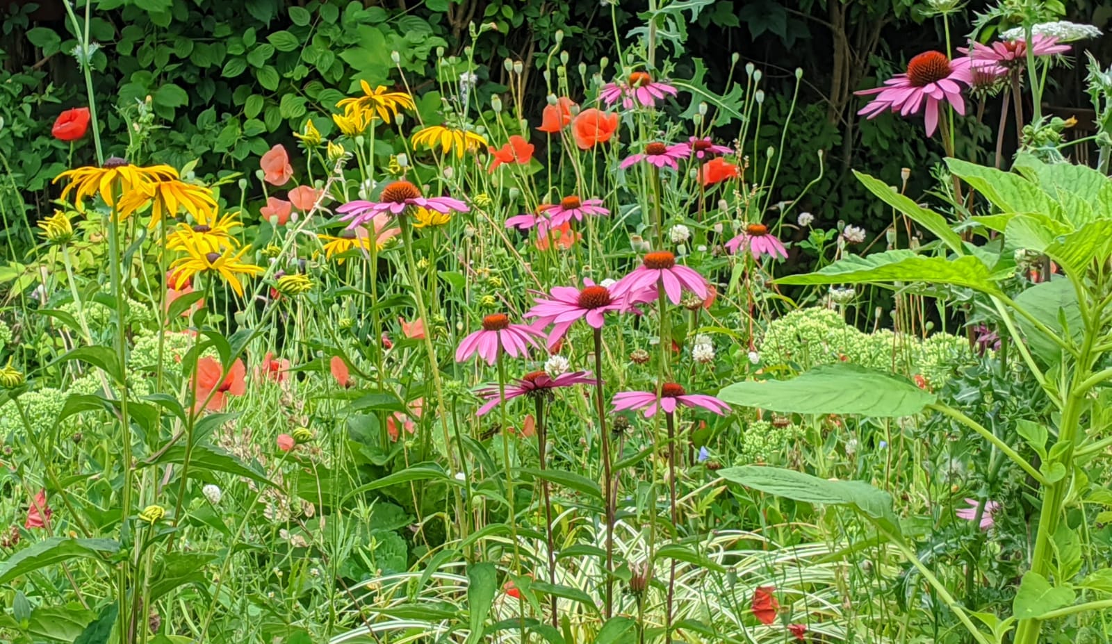 „Wo Blumen blühen, lächelt die Welt“ Allgemeine Infos